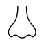 Nose