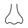 Nose