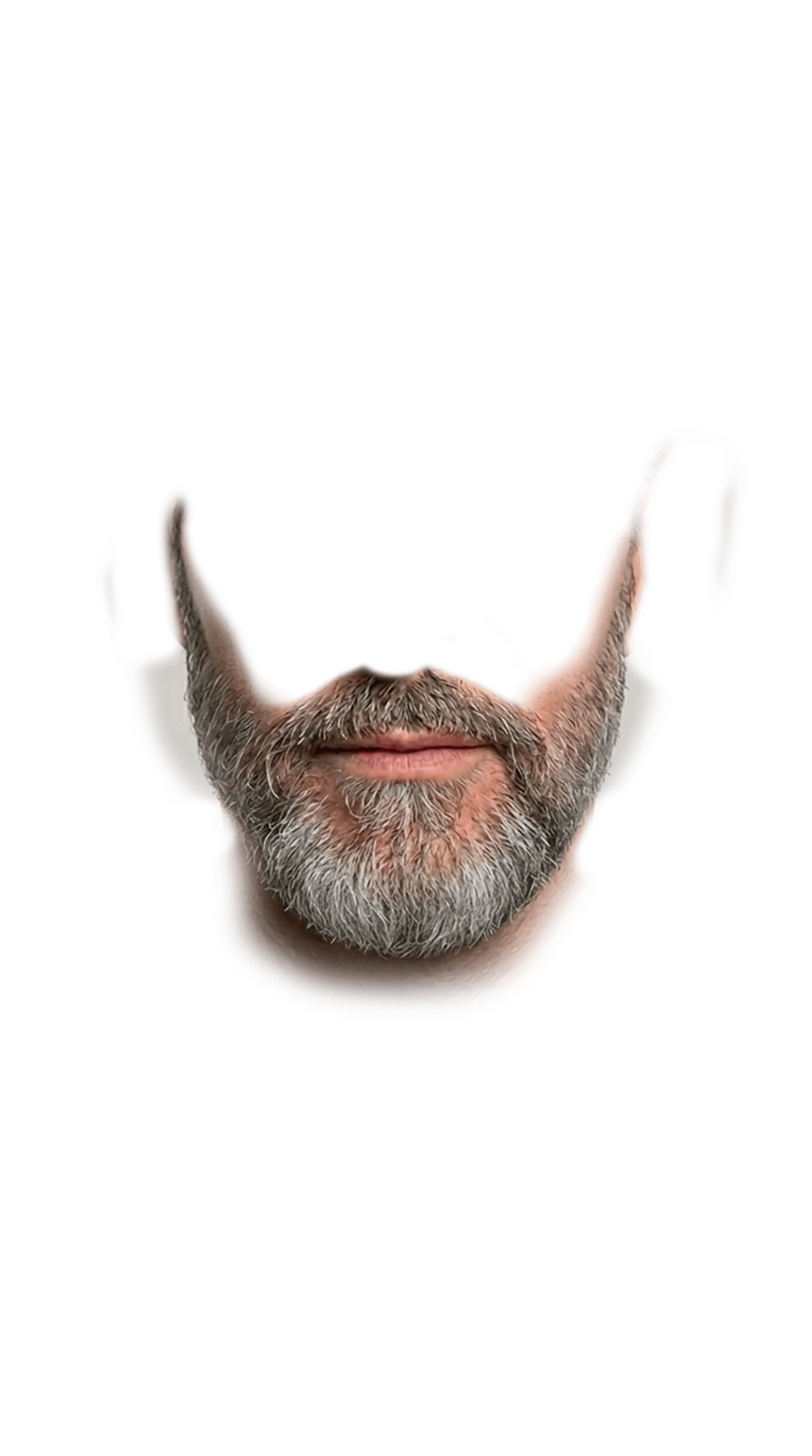beard overlay
